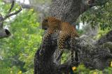 Yala National Park